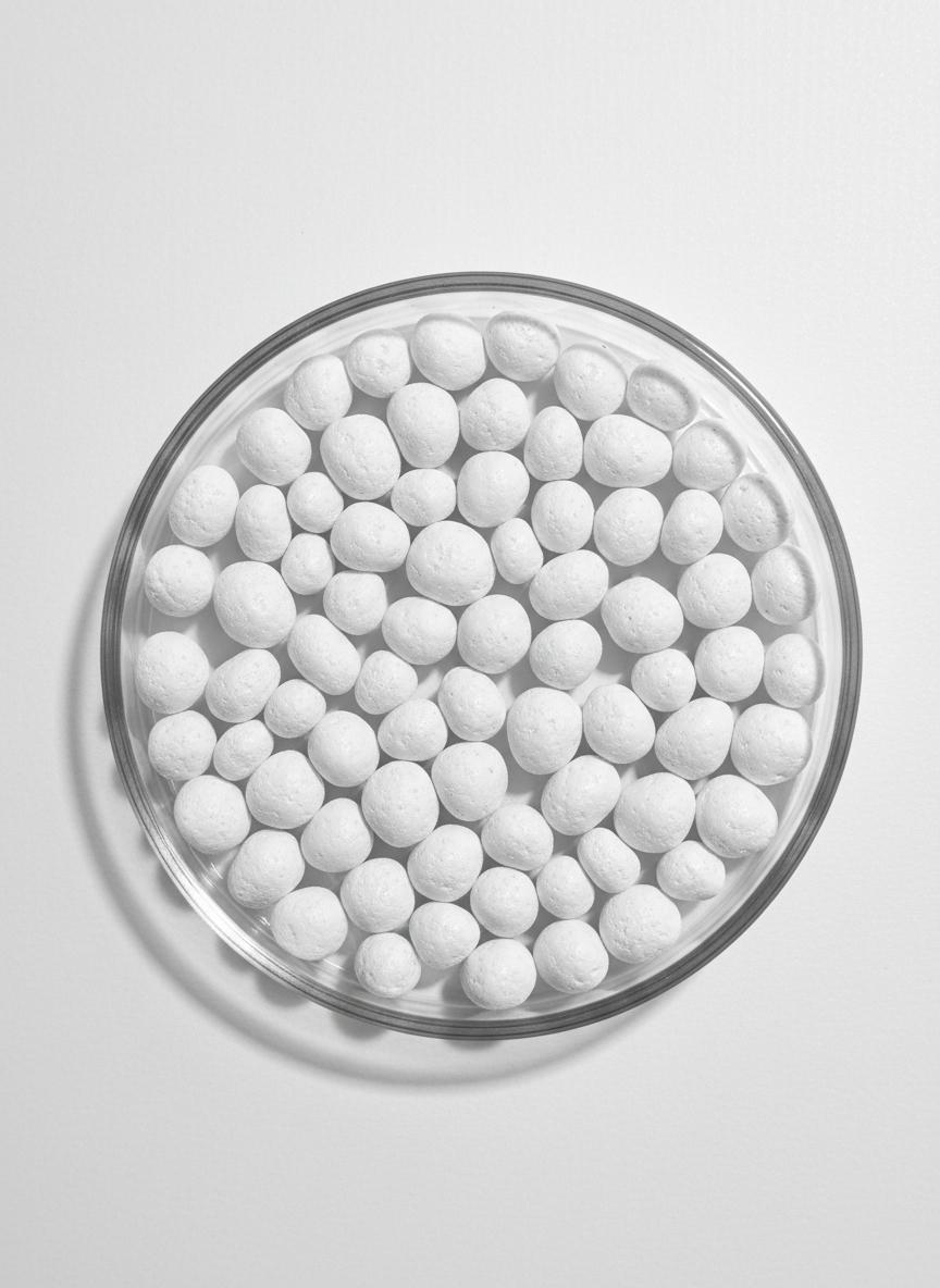 Bio-based compostable resin pellets